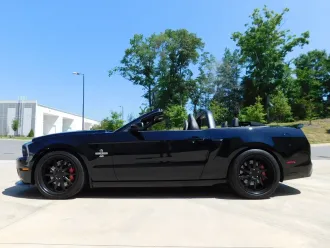 Mustang 26