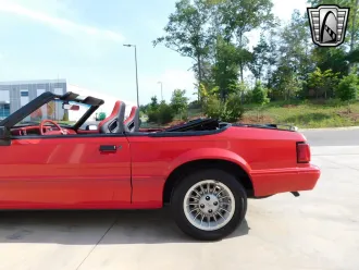 Mustang 7