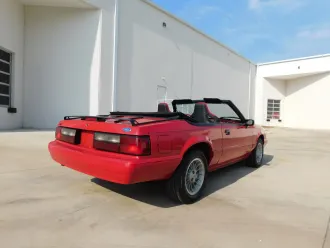 Mustang 10
