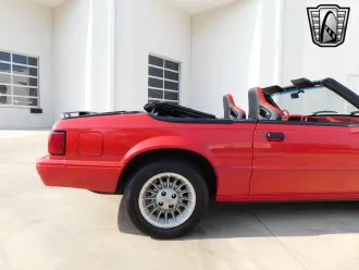 Mustang 11