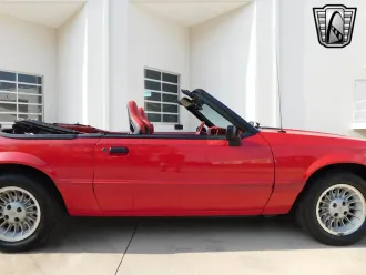 Mustang 12