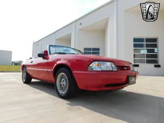 Mustang 14