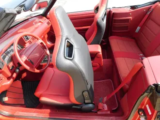 Mustang 23