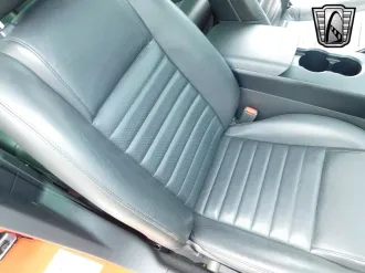Mustang 14