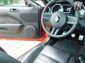 Mustang 16
