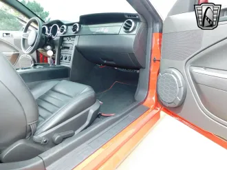 Mustang 19