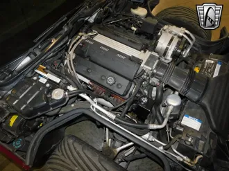 Corvette 25