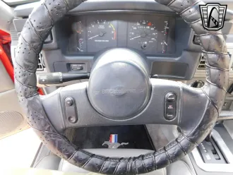 Mustang 12