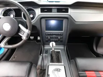 Mustang 14