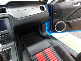 Mustang 15