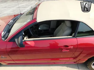 Mustang 9