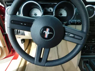 Mustang 10