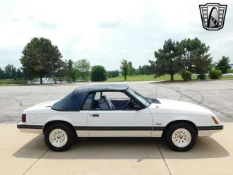 Mustang 3