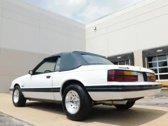 Mustang 6