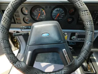 Mustang 10