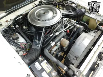 Mustang 21