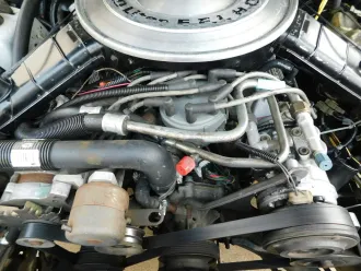 Mustang 22