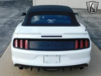 Mustang 4
