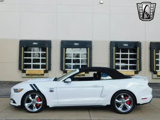 Mustang 5