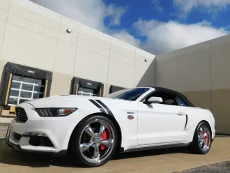 Mustang 6