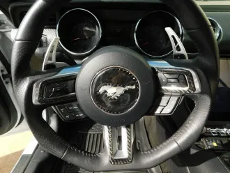 Mustang 8