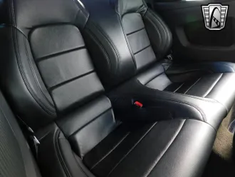Mustang 13