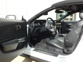 Mustang 15