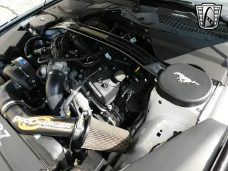 Mustang 17