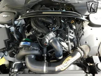 Mustang 18