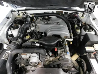 Mustang 17