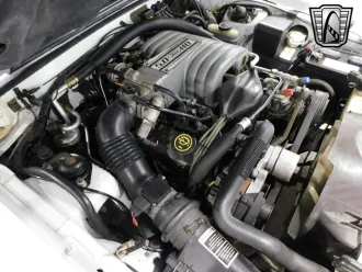 Mustang 18