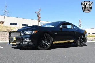 Mustang 2