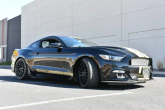 Mustang 8