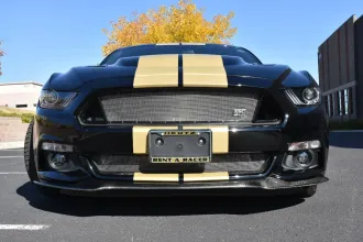 Mustang 9