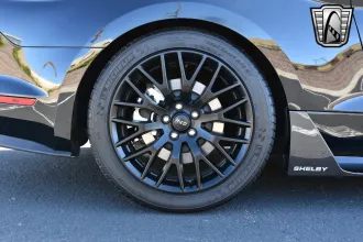 Mustang 11