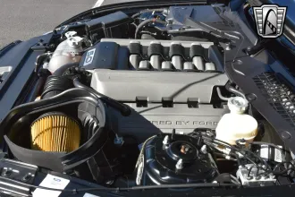 Mustang 15