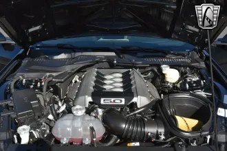 Mustang 16