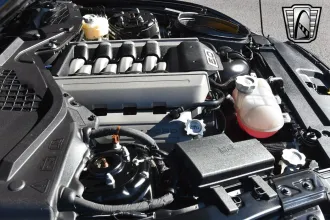 Mustang 17
