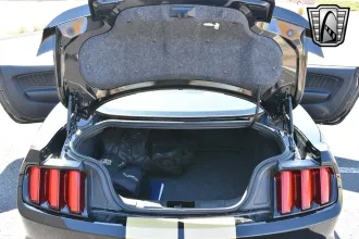 Mustang 18