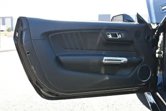 Mustang 20