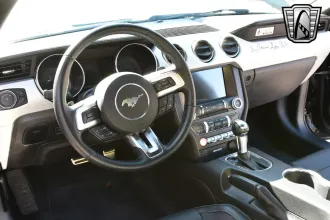 Mustang 22