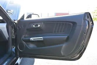 Mustang 25