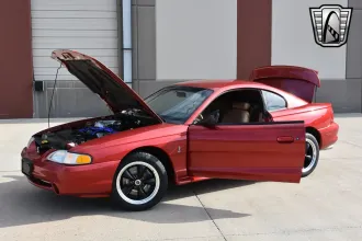 Mustang 13