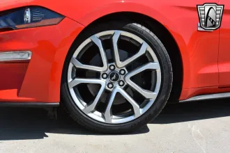 Mustang 10