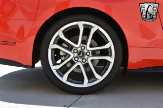 Mustang 11