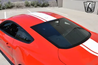 Mustang 12