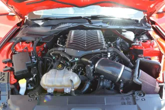 Mustang 16