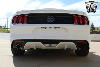 Mustang 5