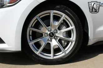 Mustang 10