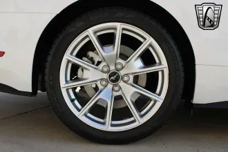 Mustang 11